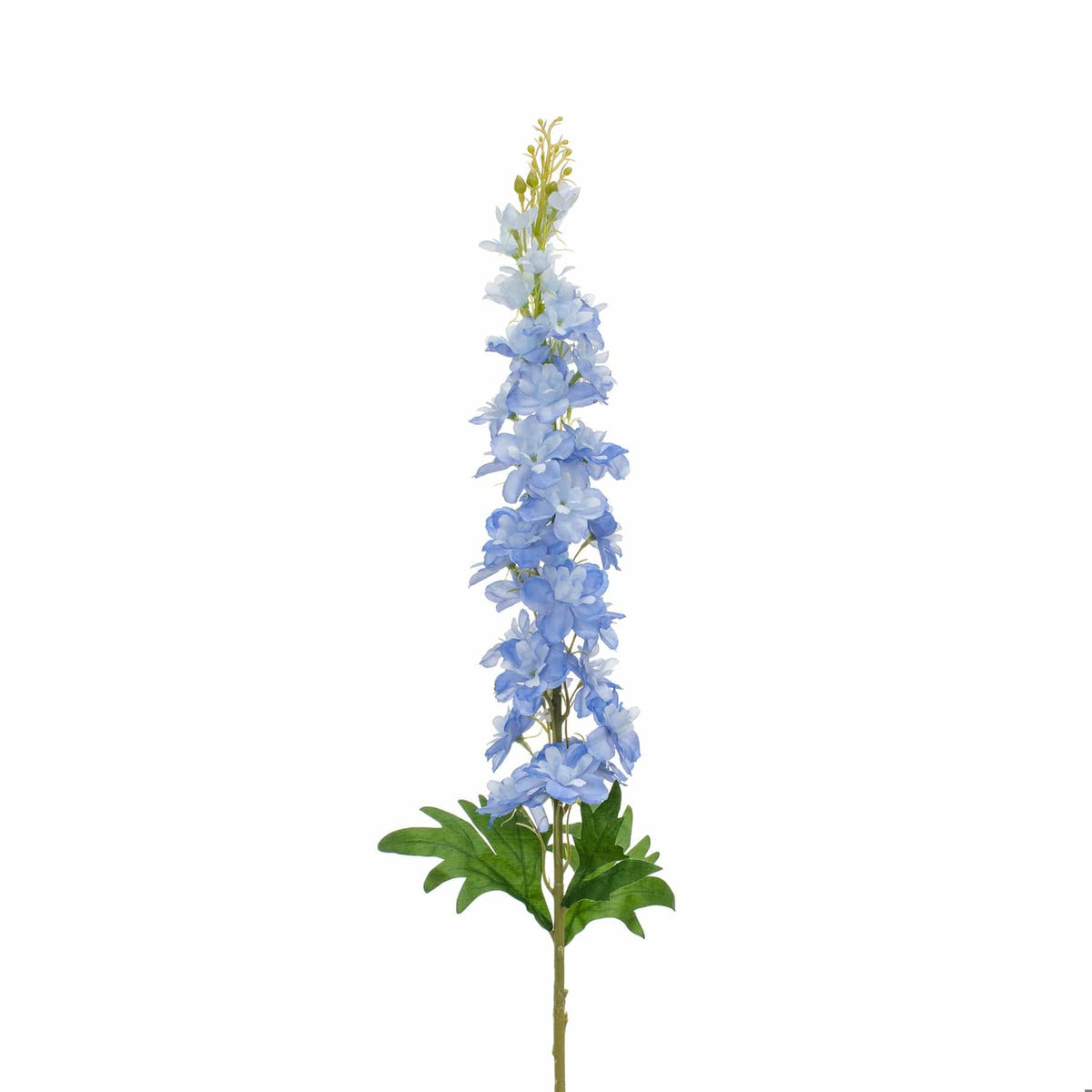 SF Delphinium Blue GB 108cm.