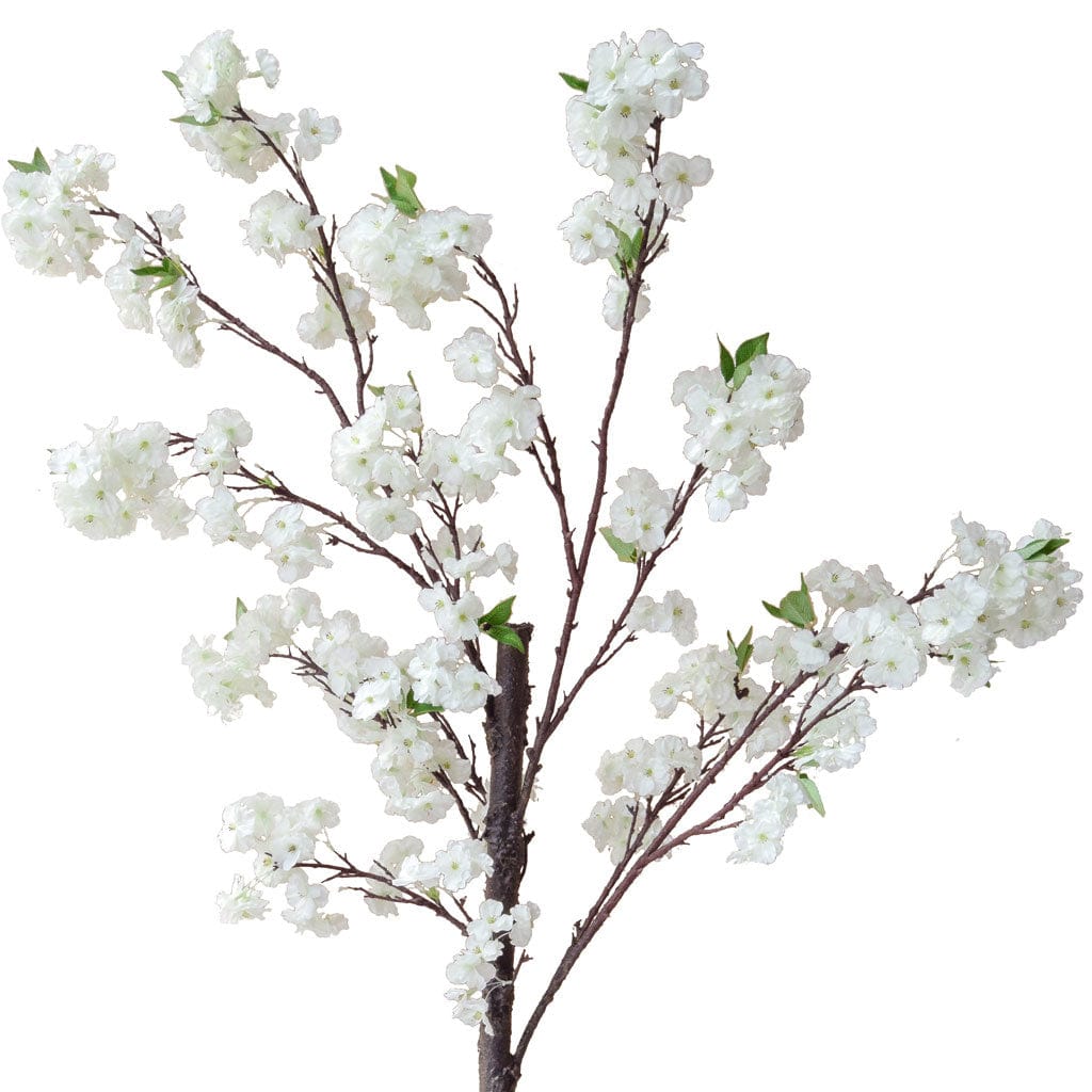 SF Flw XJ Blossom White Lge 250cm.