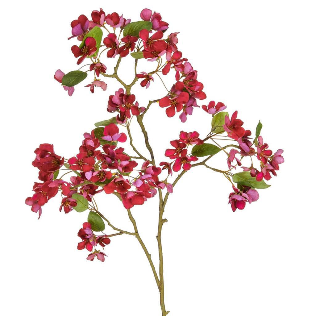 SF Fruit Blossom Red JA 92cm.