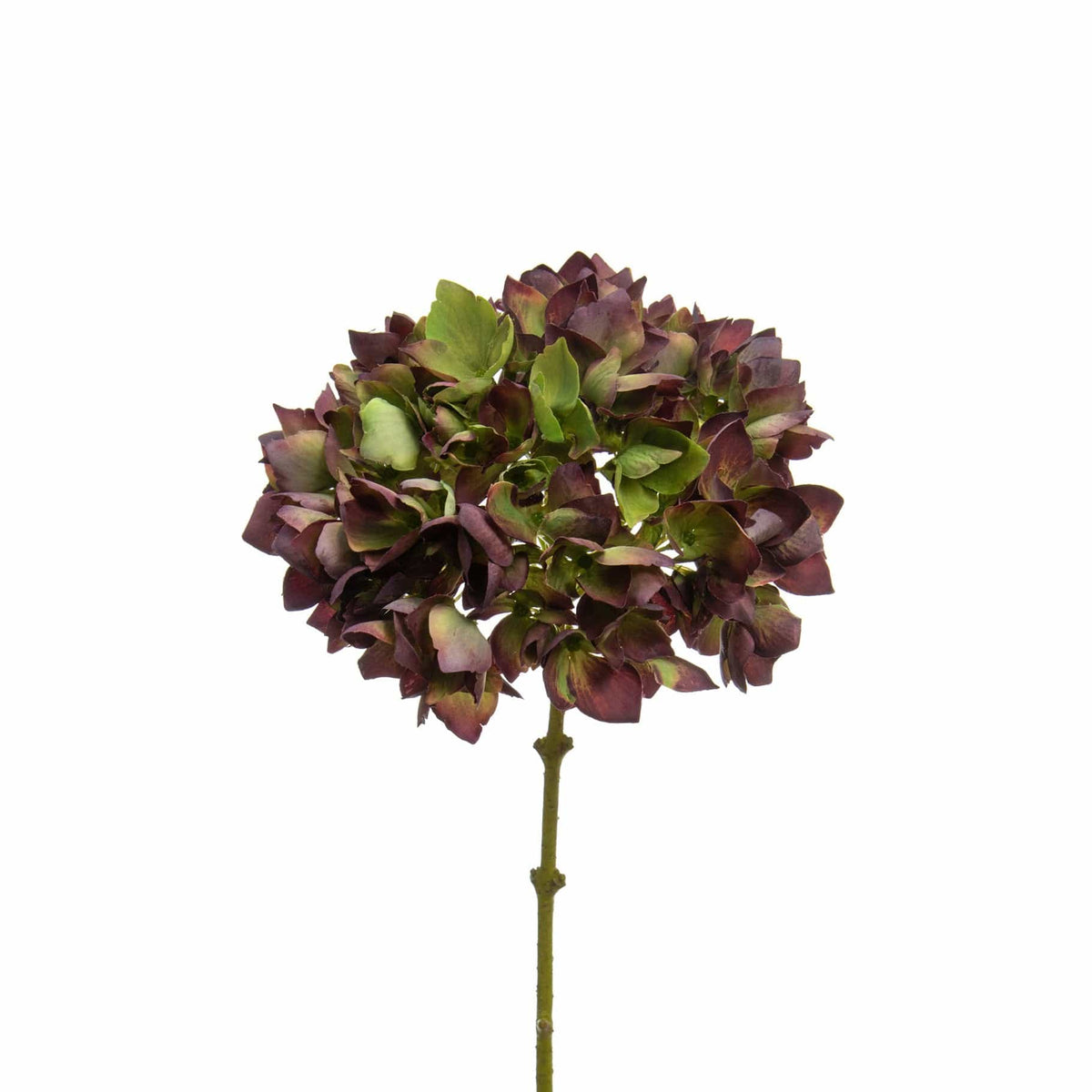 SF Hydrangea Burgundy 46cm.