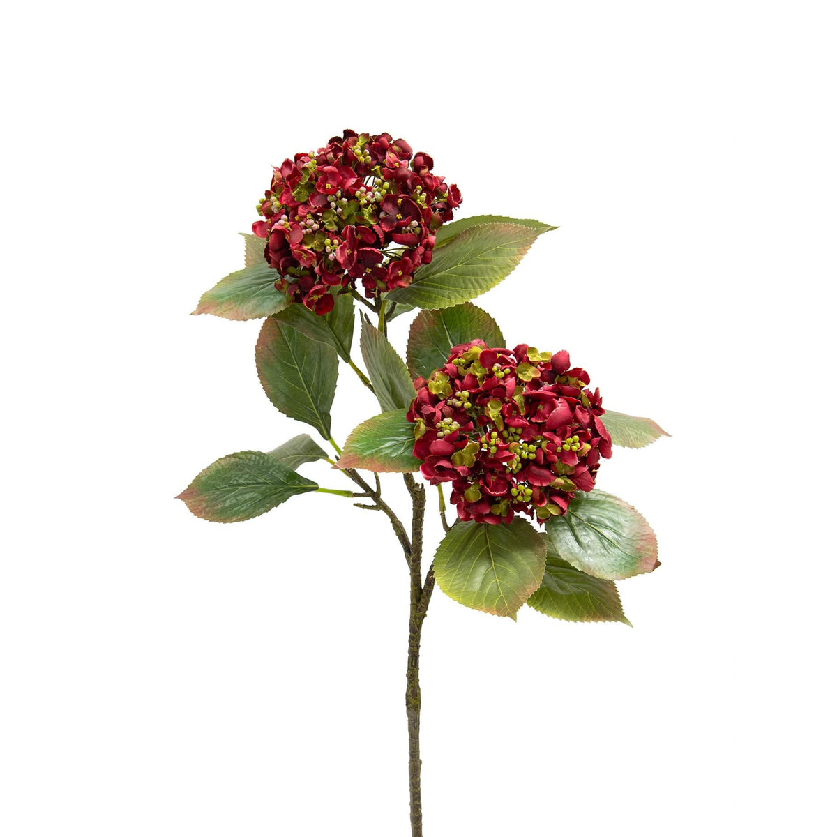 SF Hydrangea Burgundy 80cm.