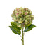 SF Hydrangea Large Green/Pink HY 101cm.