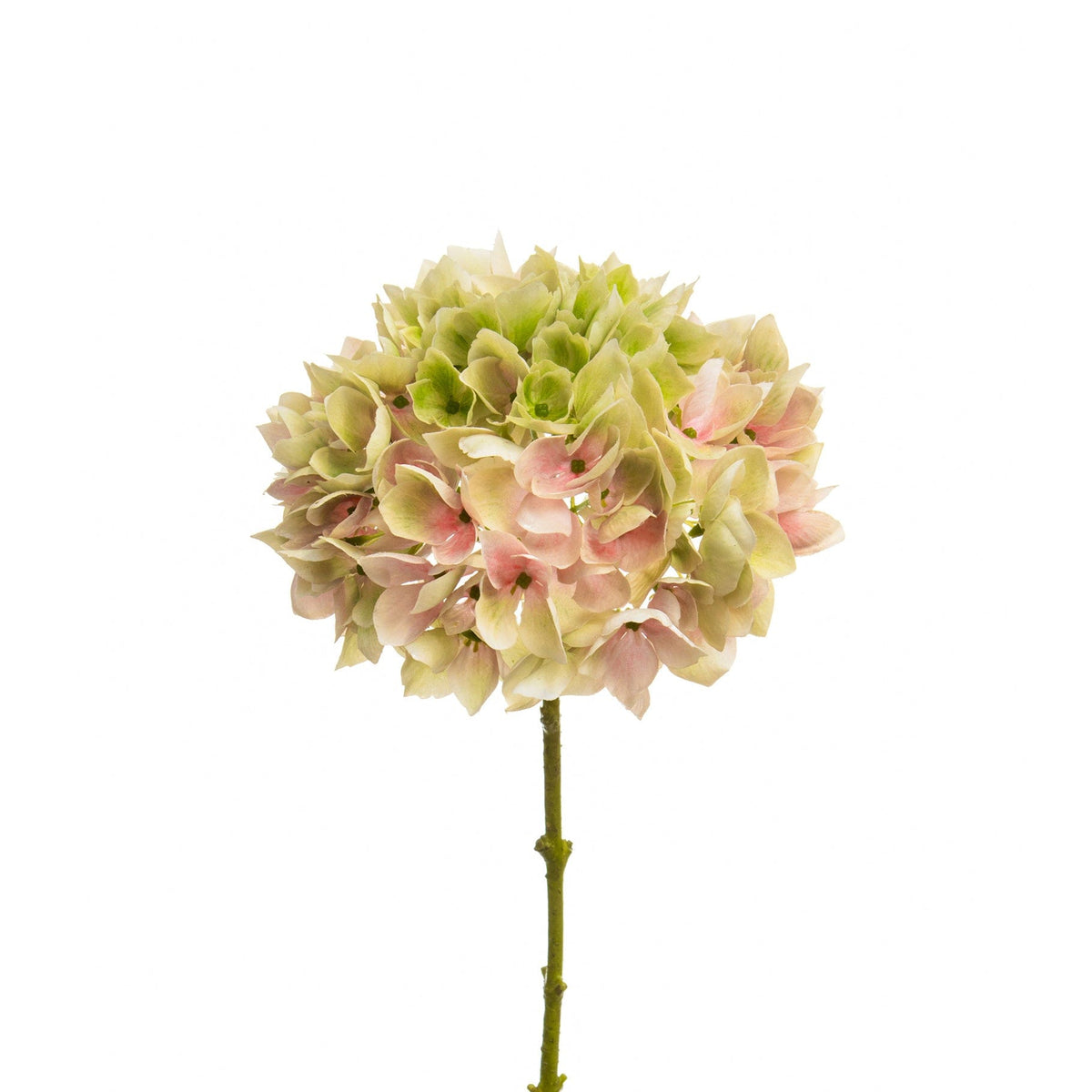 SF Hydrangea Light Green 46cm.