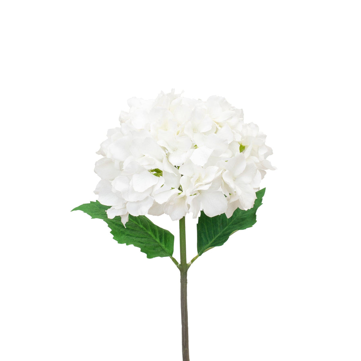 SF Hydrangea White GB 47cm.