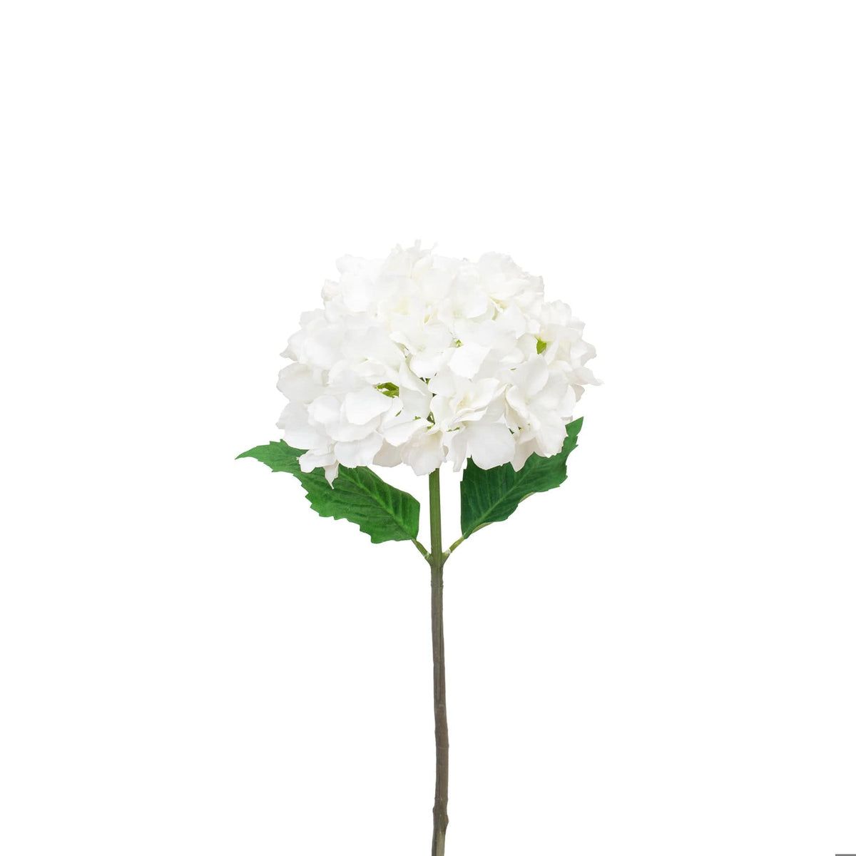 SF Hydrangea White GB 47cm.