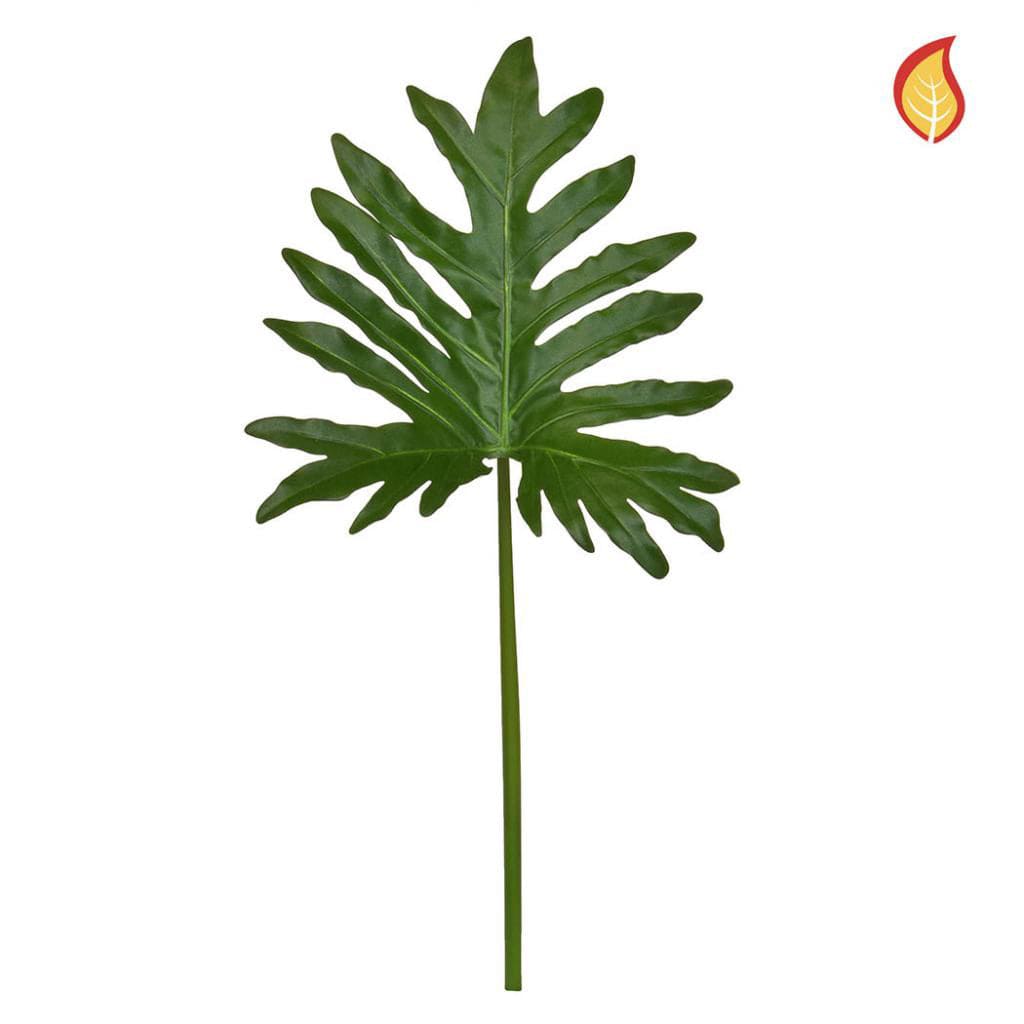 SF Leaf Selloum 57cm FR-S1.