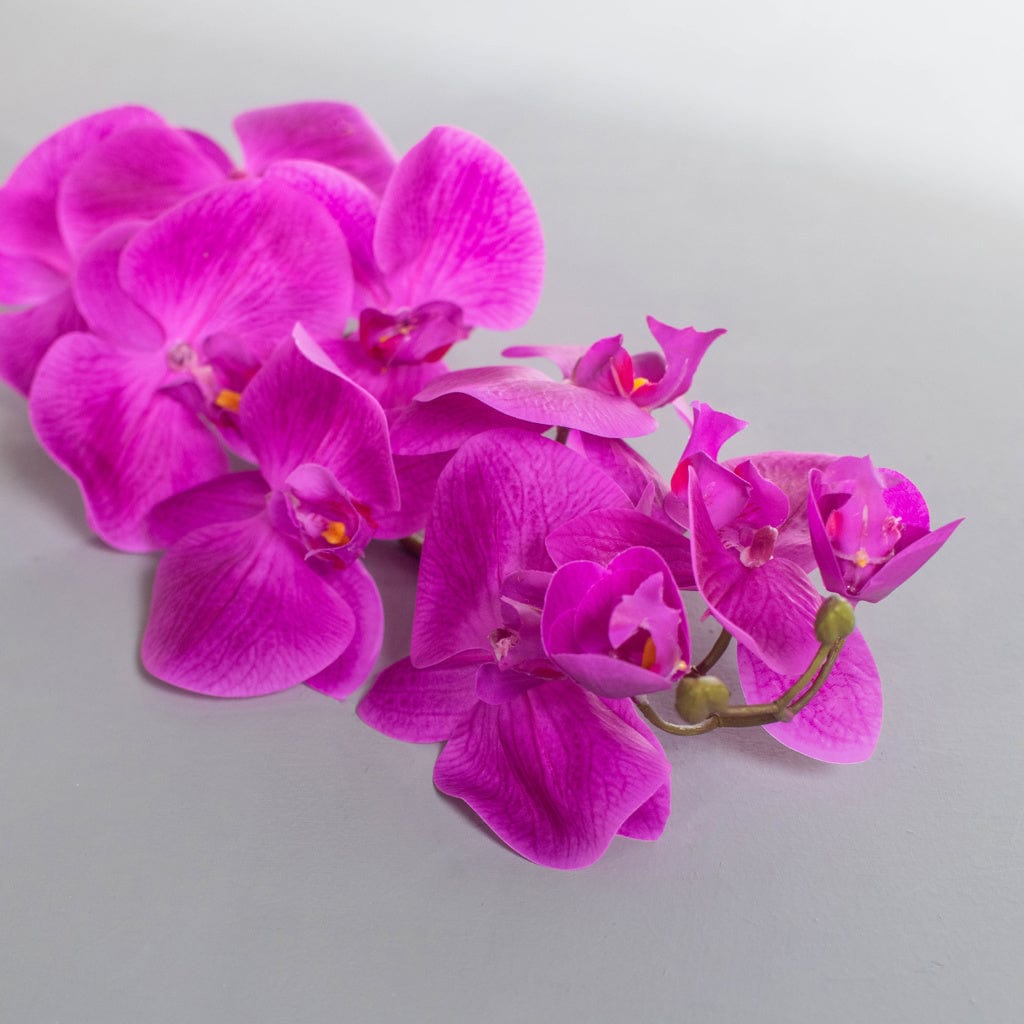 SF Orchid Phal Dk Pink Real Touch GB 115cm.