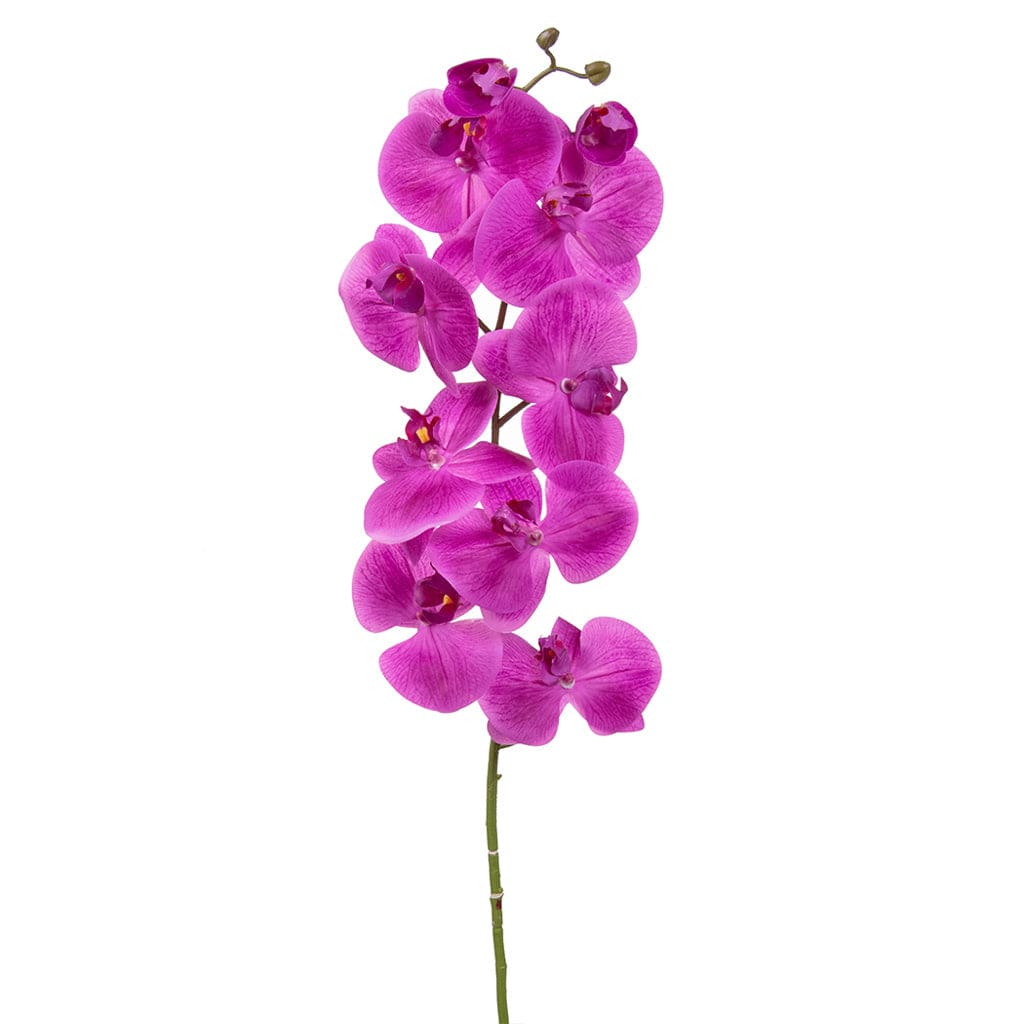 SF Orchid Phal Dk Pink Real Touch GB 115cm.