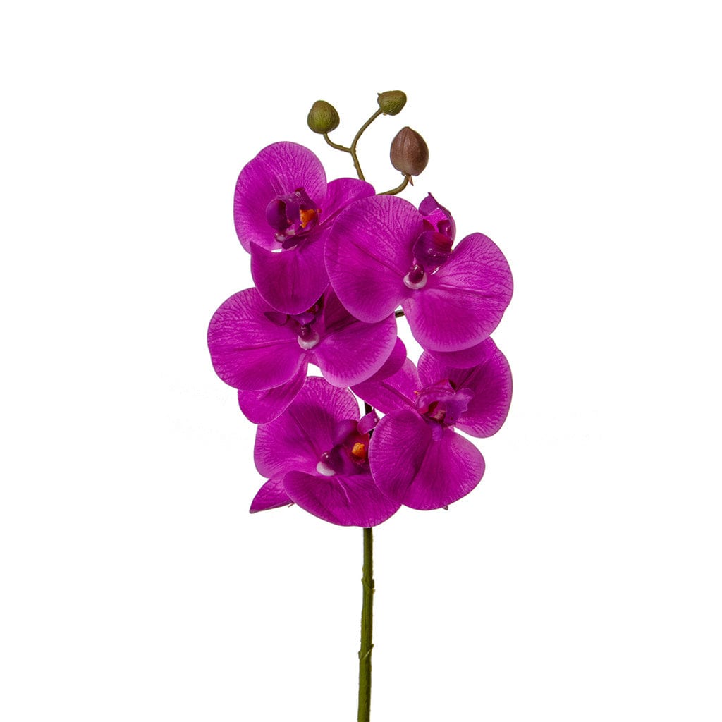 SF Orchid Phal Dk Pink Real Touch GB 60cm.