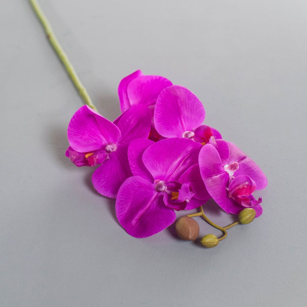 SF Orchid Phal Dk Pink Real Touch GB 60cm.