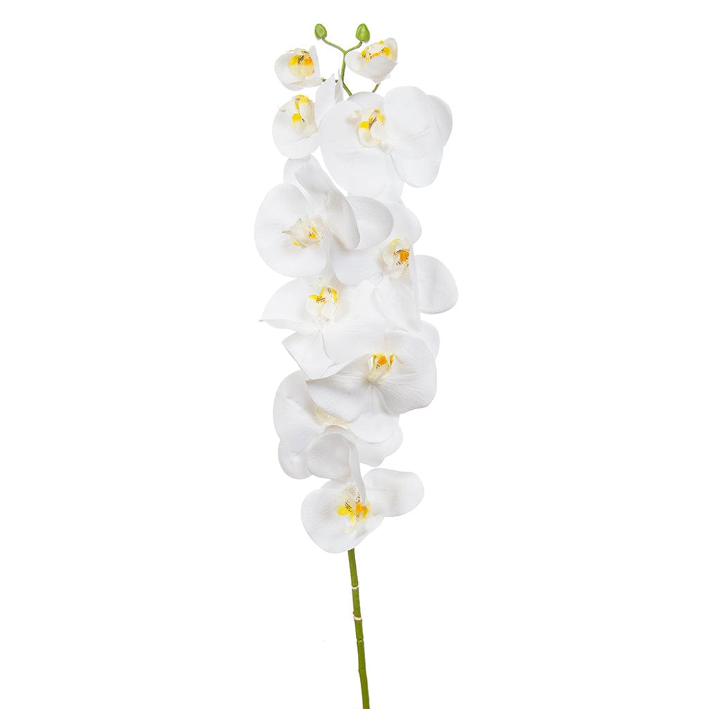 SF Orchid Phal White Real Touch GB 115cm.