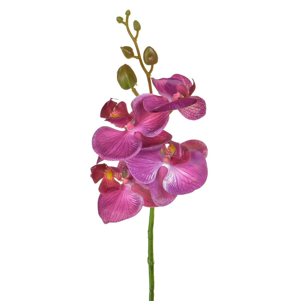 SF Orchid Phalaenopsis XJ Sm Dk/Pk 57cm.