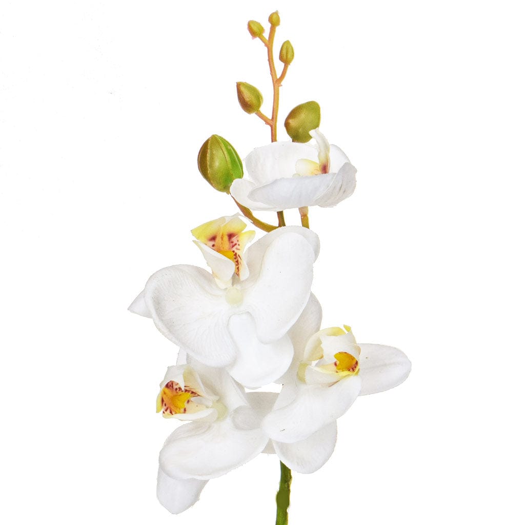 SF Orchid Phalaenopsis XJ Sm Wh 57cm.