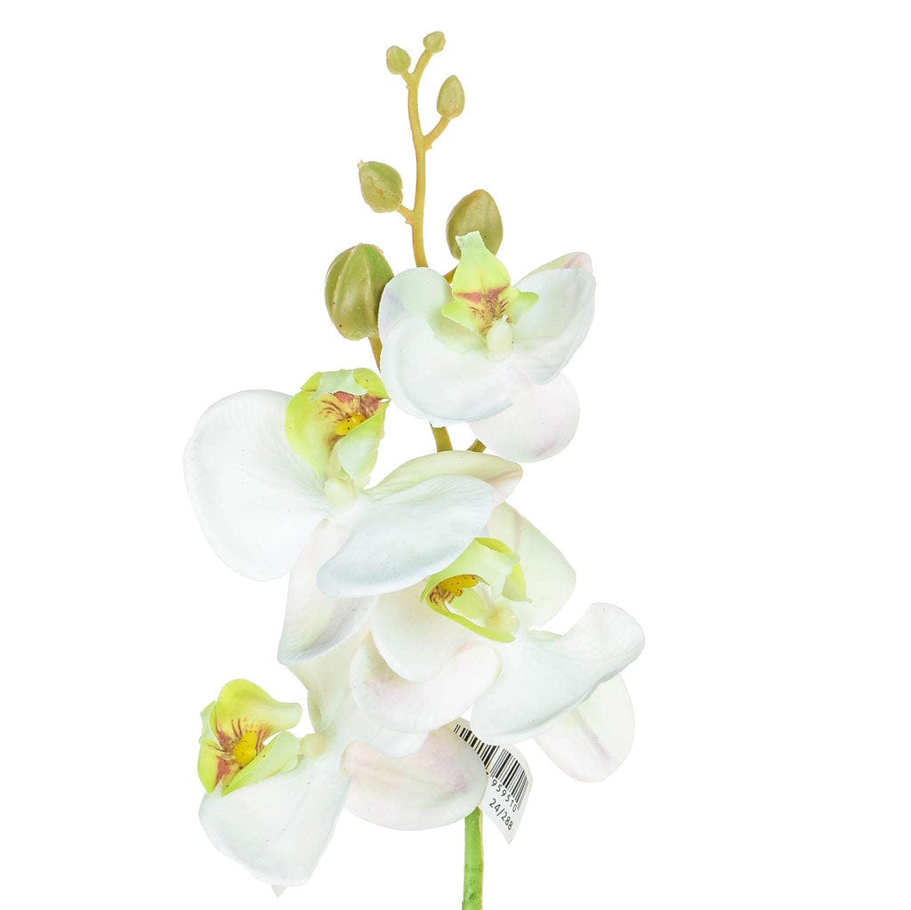SF Orchid Phalaenopsis XJ Sm Wh/Pk 57cm.