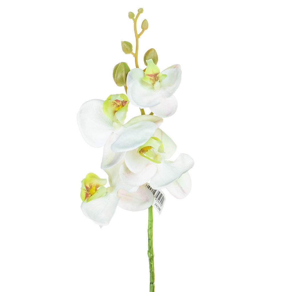 SF Orchid Phalaenopsis XJ Sm Wh/Pk 57cm.