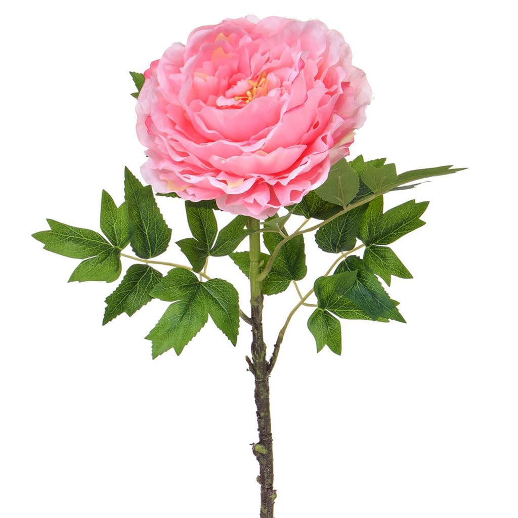 SF Peony Pink XH 63cm.