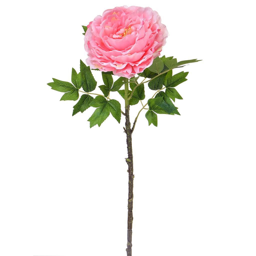 SF Peony Pink XH 63cm.