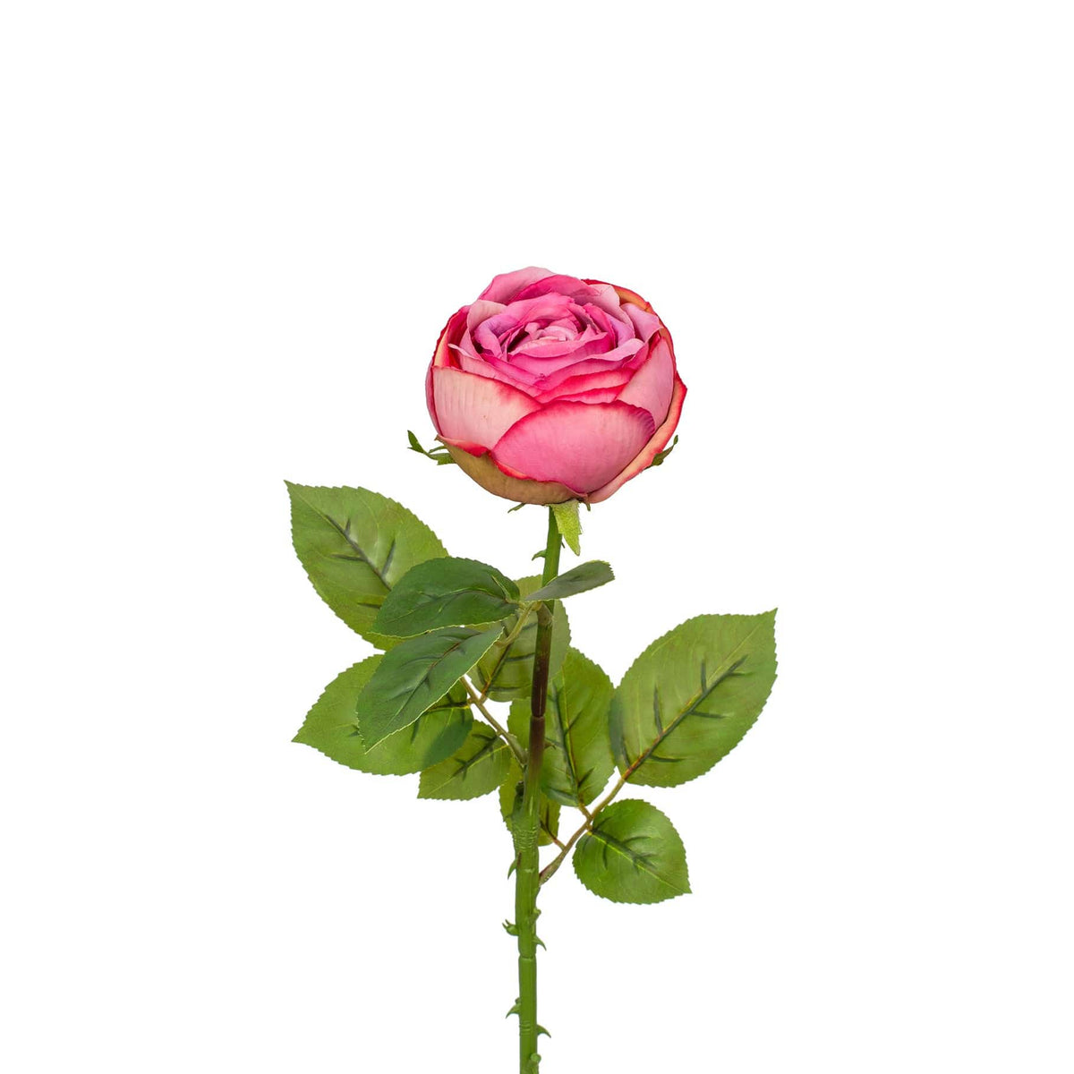 SF Rose Pink GB 63cm.