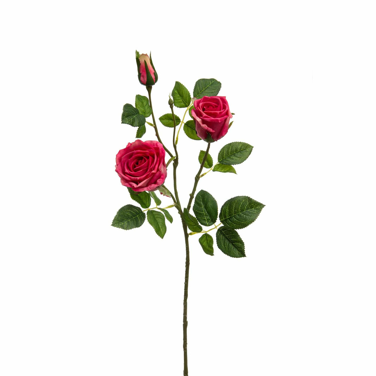 SF Rose Victoria Pink 80cm.