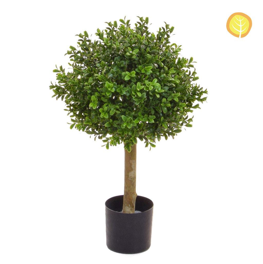 Topiary Buxus Ball 30cm UV.