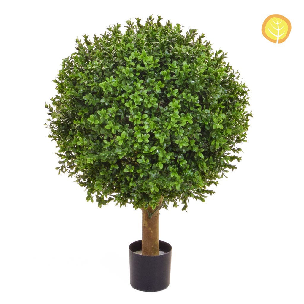 Topiary Buxus Ball 50cm UV.