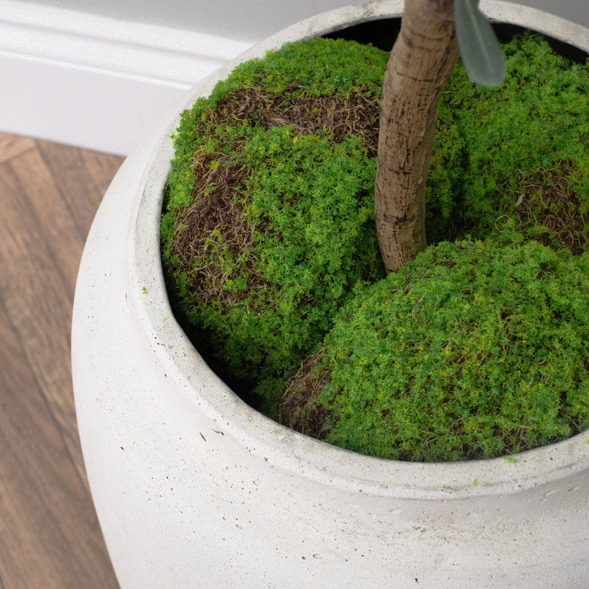 Topiary Moss Ball GB 19cm.