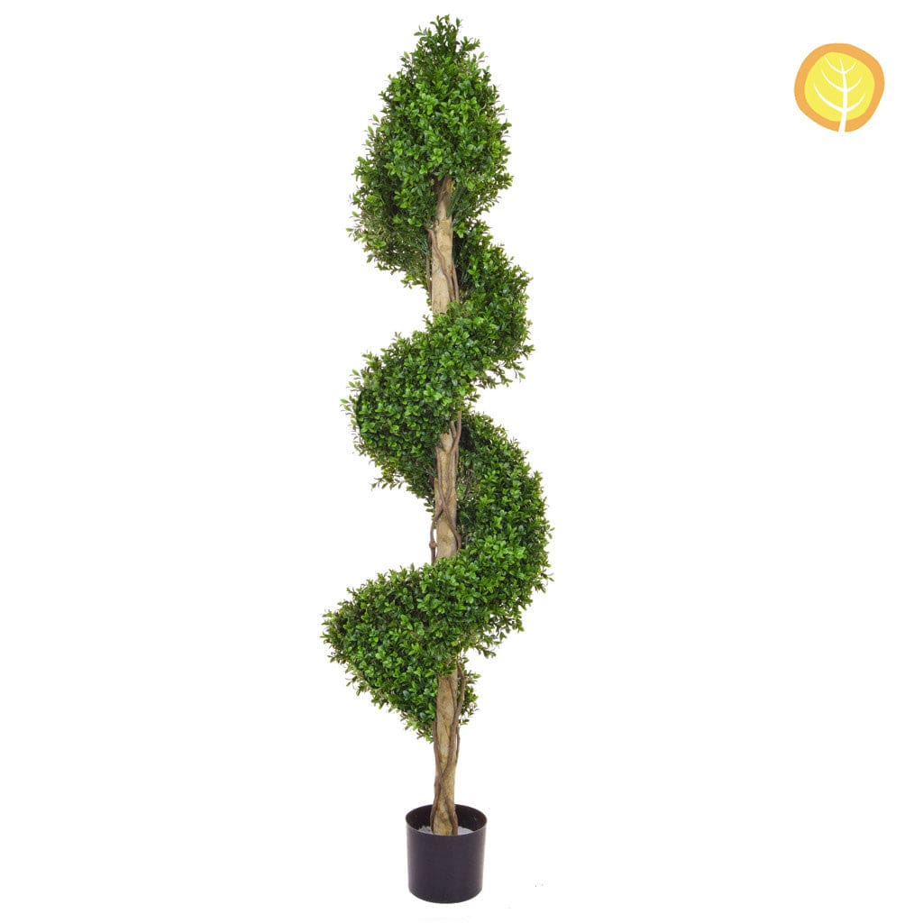 Topiary New Buxus Spiral C 150cm UV.