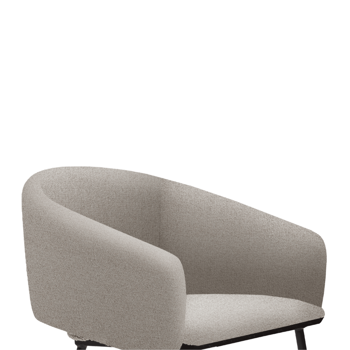 Twenty10 Designs Living Fern Dining Chair House of Isabella UK