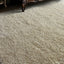 Caramont Rug - 183 x 274 cm