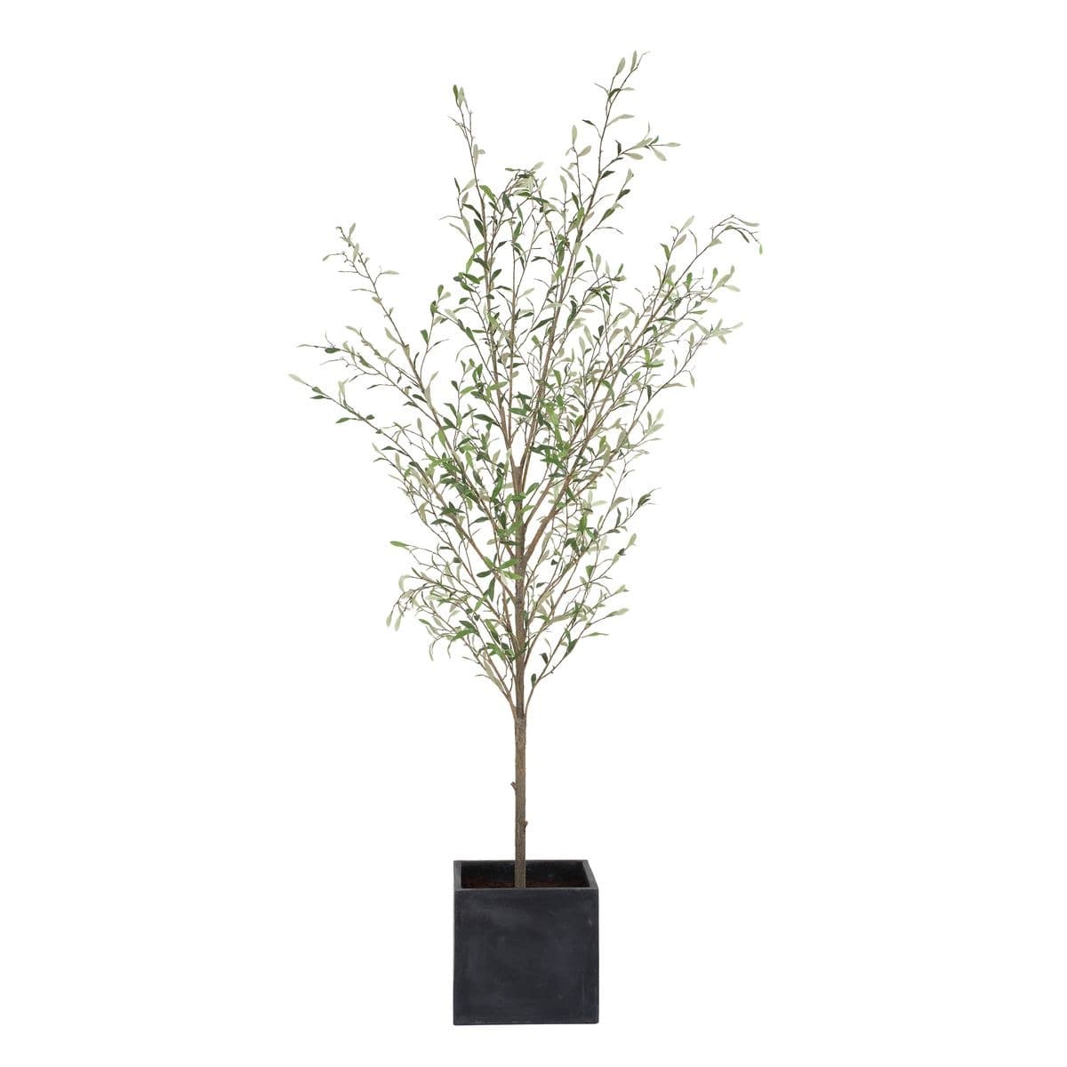 Uttermost Accessories Abundance Potted Olive Tree House of Isabella UK