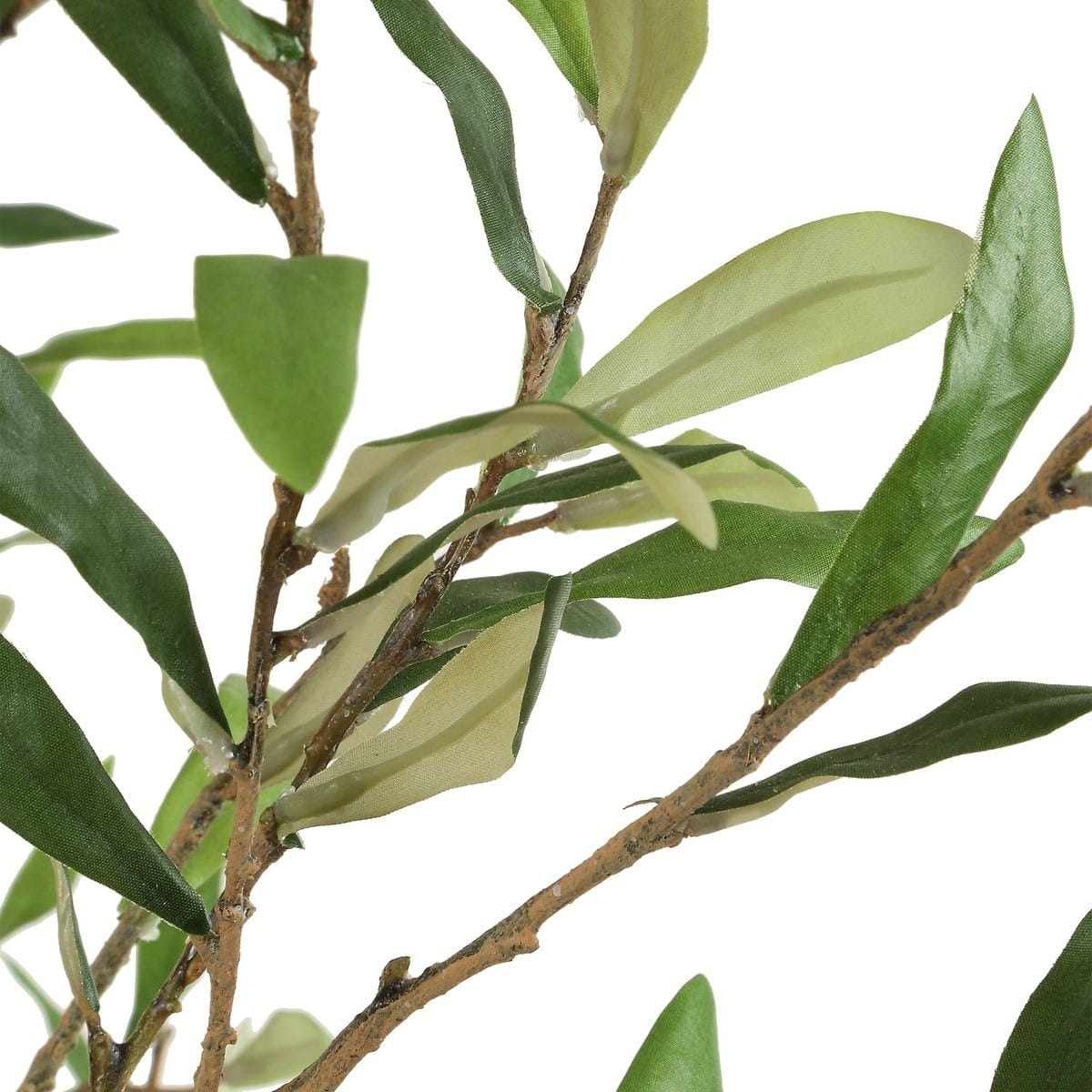Uttermost Accessories Abundance Potted Olive Tree House of Isabella UK