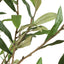 Uttermost Accessories Abundance Potted Olive Tree House of Isabella UK