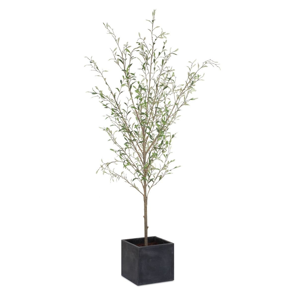 Uttermost Accessories Abundance Potted Olive Tree House of Isabella UK
