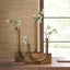 Uttermost Accessories All About U Vases - Set of 2 House of Isabella UK
