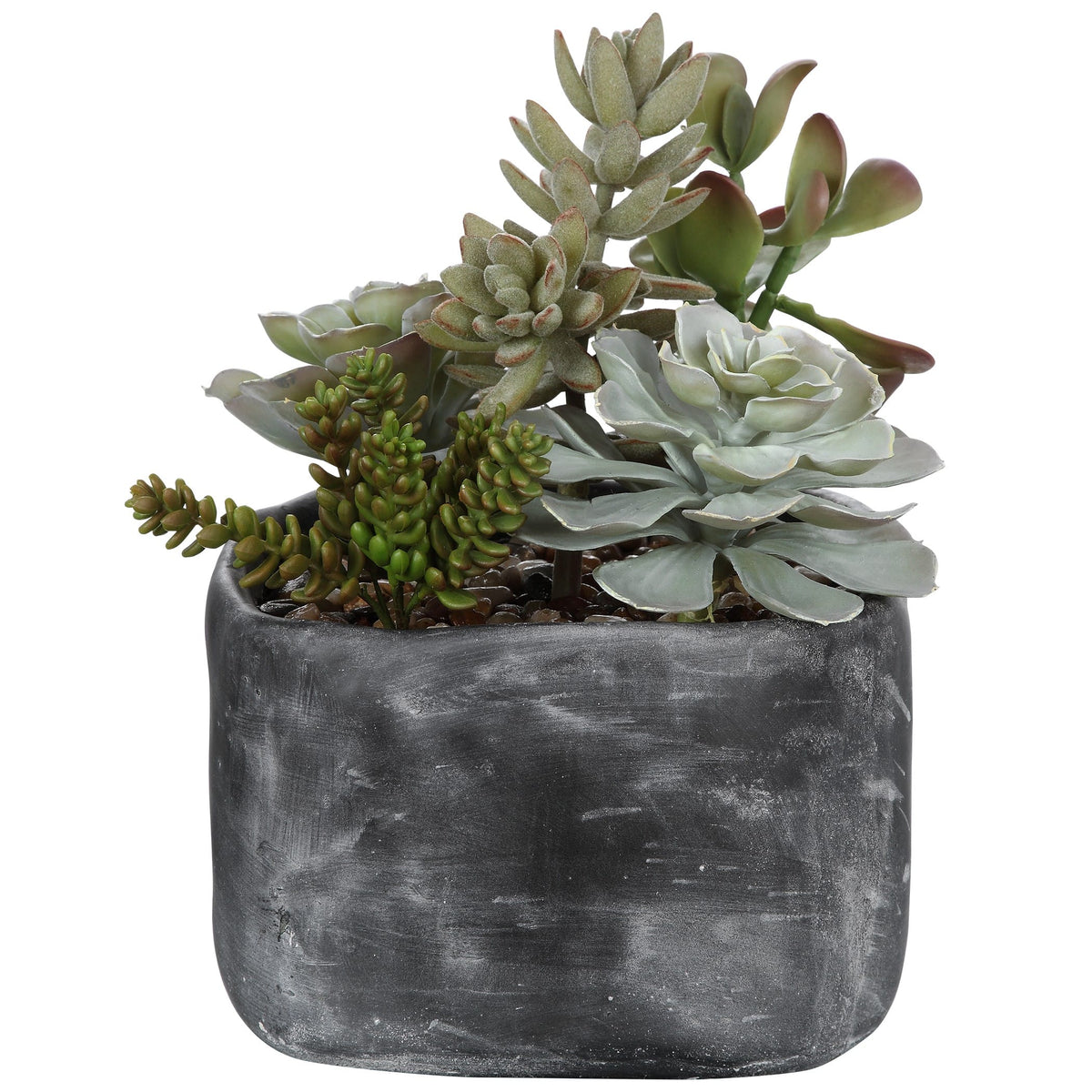 Uttermost Accessories Alverio Desert Garden Succulents House of Isabella UK