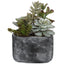 Uttermost Accessories Alverio Desert Garden Succulents House of Isabella UK