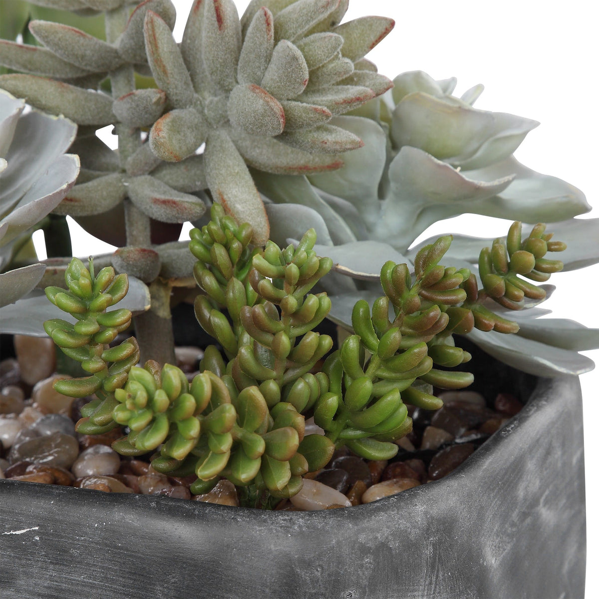 Uttermost Accessories Alverio Desert Garden Succulents House of Isabella UK