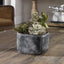 Uttermost Accessories Alverio Desert Garden Succulents House of Isabella UK