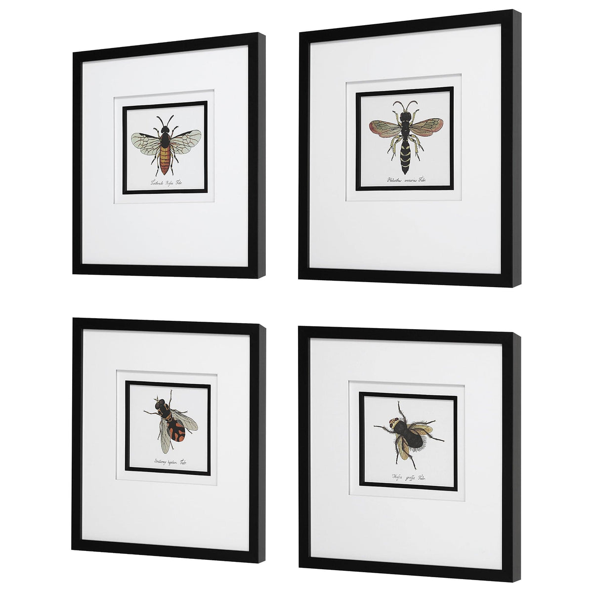 Uttermost Accessories Anthophila Framed Prints, S/4 House of Isabella UK