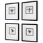 Uttermost Accessories Anthophila Framed Prints, S/4 House of Isabella UK