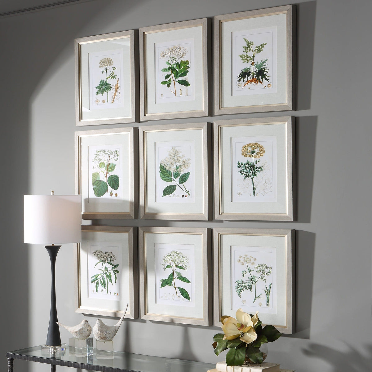 Uttermost Accessories Antique Botanicals Framed Prints, S/9 House of Isabella UK