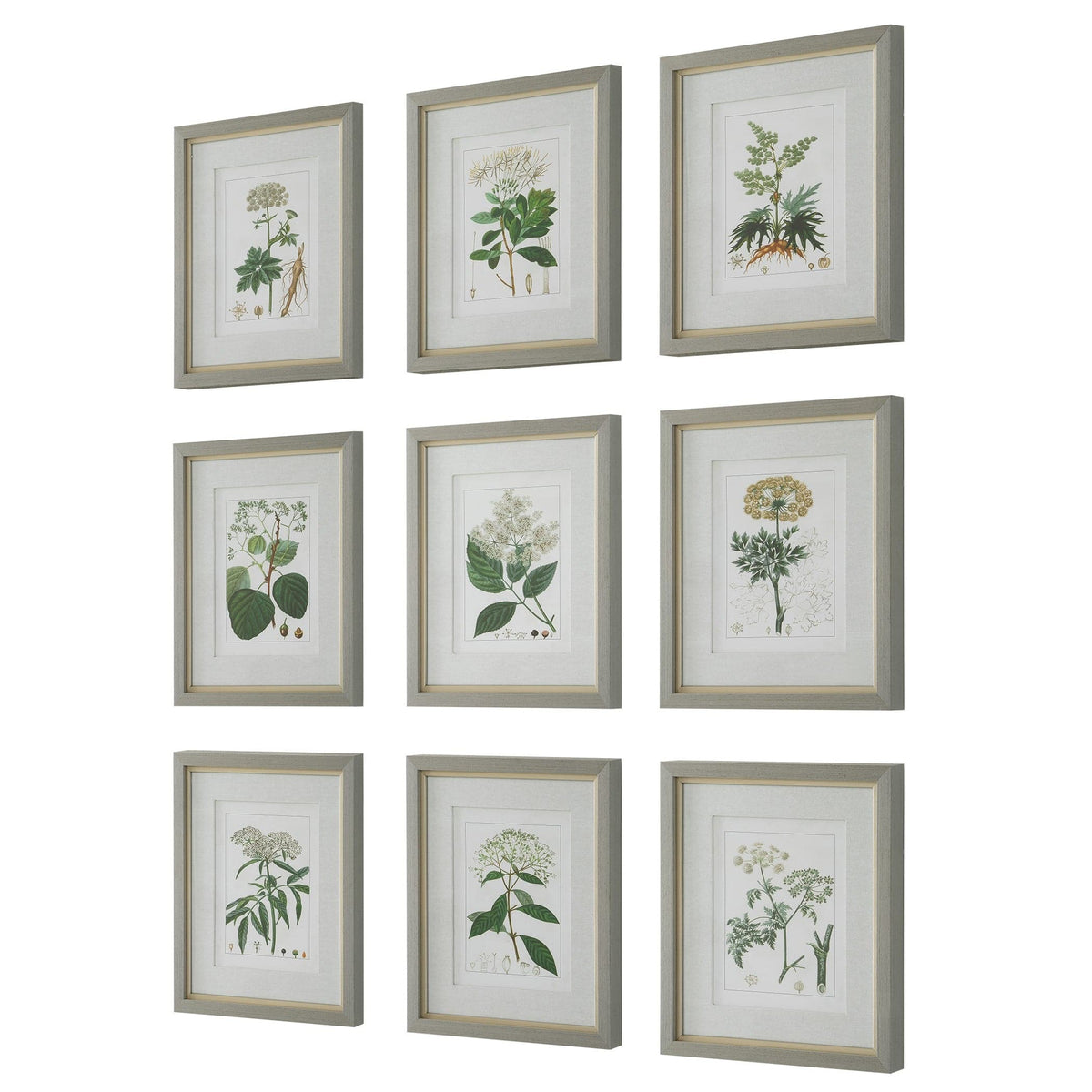 Uttermost Accessories Antique Botanicals Framed Prints, S/9 House of Isabella UK