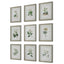 Uttermost Accessories Antique Botanicals Framed Prints, S/9 House of Isabella UK