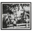 Uttermost Accessories Apple Of My Eye Framed Print House of Isabella UK