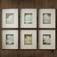 Uttermost Accessories Autumn Cumulation Framed Canvases - Set of 6 House of Isabella UK