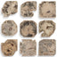 Uttermost Accessories Bahati Wood Bleached Wall Decor - Set of 9 House of Isabella UK