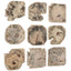 Uttermost Accessories Bahati Wood Bleached Wall Decor - Set of 9 House of Isabella UK