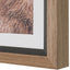 Uttermost Accessories Big Horn Sheep Framed Print House of Isabella UK