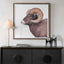 Uttermost Accessories Big Horn Sheep Framed Print House of Isabella UK