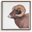 Uttermost Accessories Big Horn Sheep Framed Print House of Isabella UK